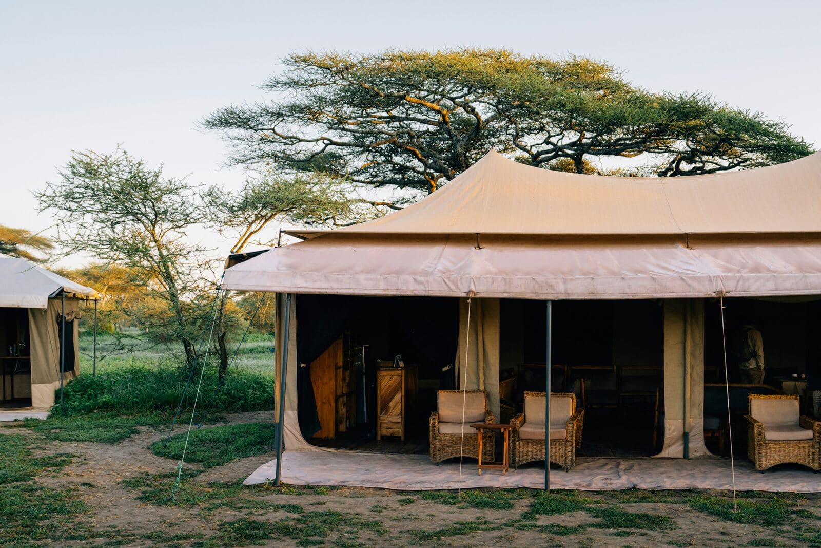 Safari lodge tent suite with seating, framed by acacia trees